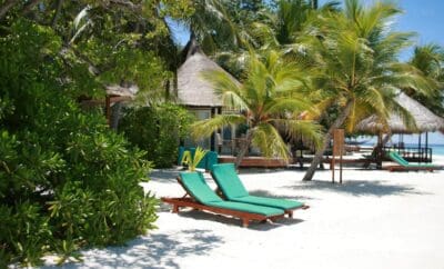 How to Be a Great Host: Tips to Maximize Guest Satisfaction & Reviews