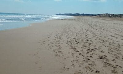 Spacious apartment La Mata 87